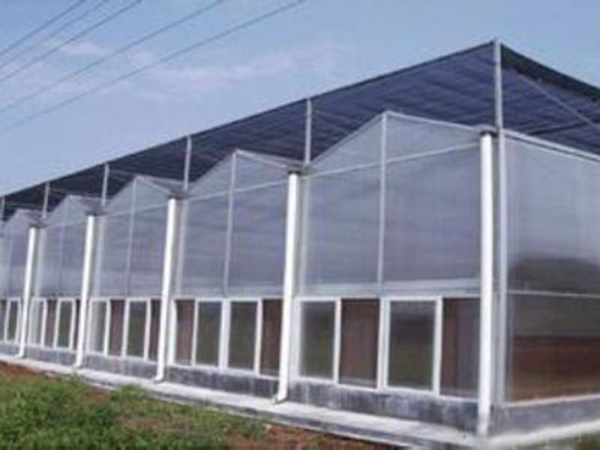 薄膜拱形連棟溫室