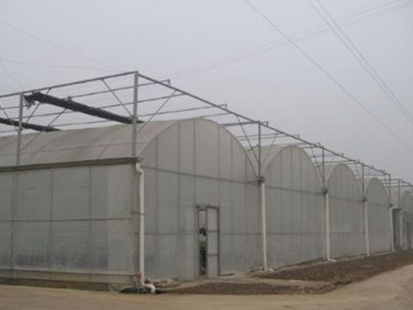 薄膜拱形連棟溫室