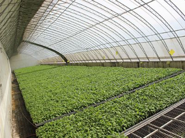 small_201611251431110